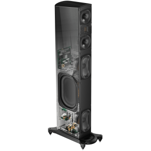 GoldenEar T66 Gloss Black – foto 2