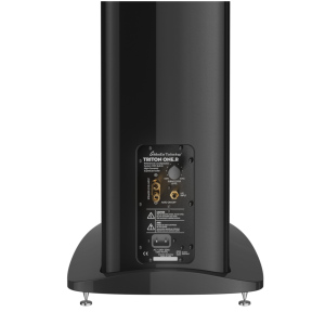 GoldenEar Triton One.R – foto 3