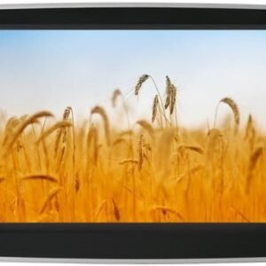 Mercedes Monitor 8'' TFT-LCD Usb-Sd PHONOCAR VM075