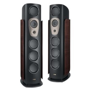 Canton Reference GS Edition - Coppia Diffusori Pavimento High-End