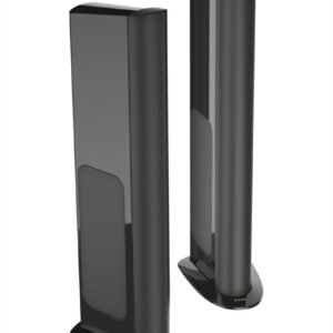 GOLDEN EAR TRITON ONE.R | Coppia Diffusori Pavimento FULL RANGE