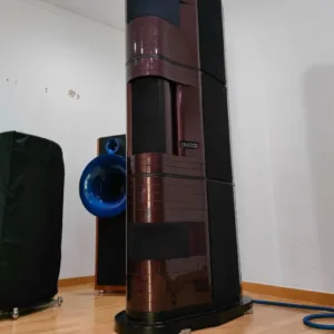 EVENTUS AUDIO NEO Usate | Coppia Diffusori Pavimento HI- END Top di Gamma