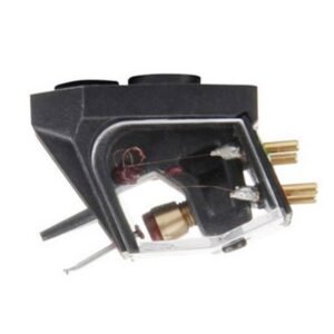 Rega Ania | Testina MC