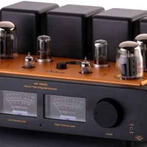 Amplificatore Stereo Integrato Valvole AERON AP990C (senza Valvole)