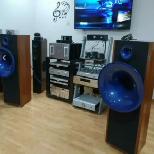 AVANTGARDE ACOUSTIC UNO PICCO ( Usate ) | Coppia Diffusori Pavimento - 106 db - 220 Volt