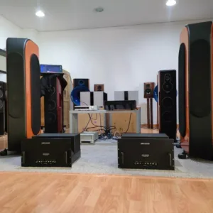 AUDIO RESEARCH CLASSIC 150 ( Usati Vintage ) - Coppia Finali Mono