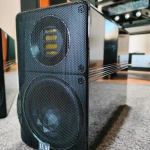 ELAC BS 312 ( Ex-Demo) - Coppia Diffusori Scaffale/Stand