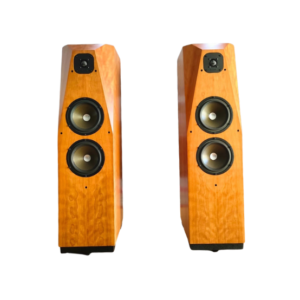 AVALON ASCENDANT ( Usate ) - Coppia Diffusori Pavimento