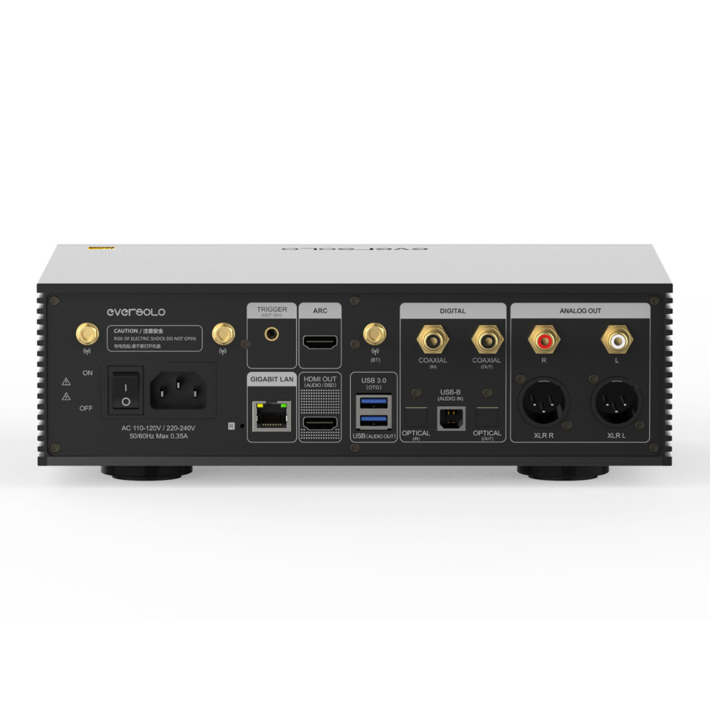 eversolo-DMP-A6-master-edition-gen2-back.jpg
