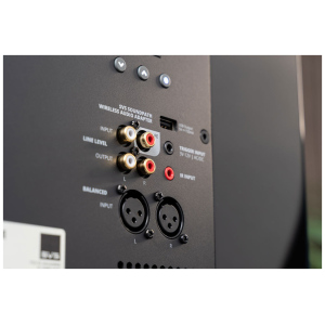 SVS SB-3000 R|Evolution, dettaglio dei comandi e delle connessioni posteriori
