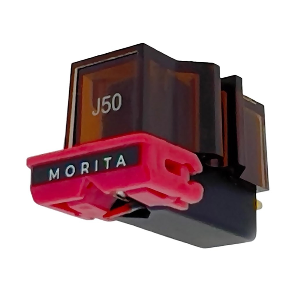 7800212.jpg