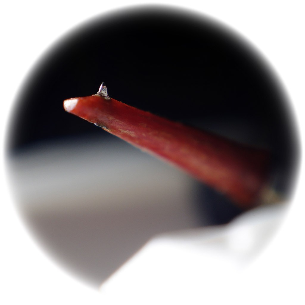 7800212_b.jpg