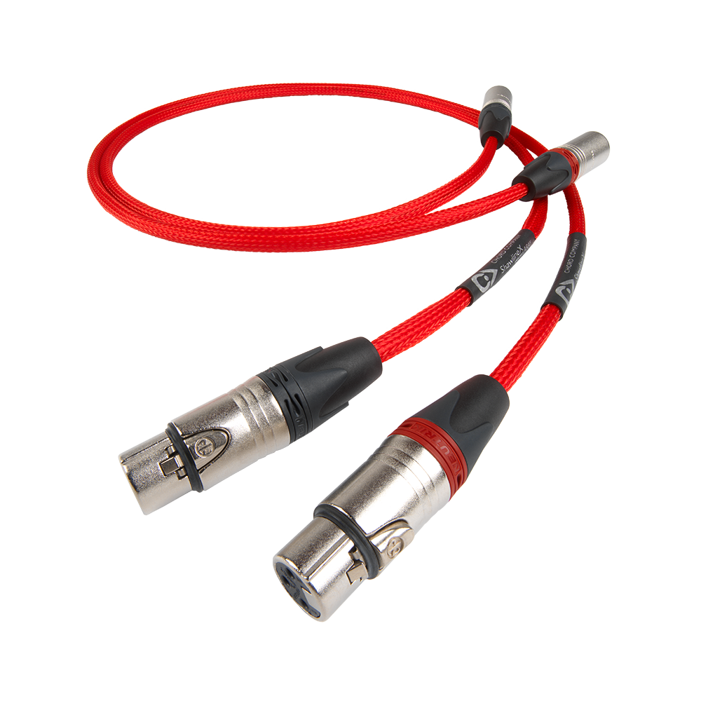 chord-company-shawline-xlr