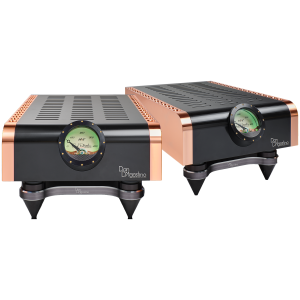 Dan D'Agostino Momentum Mono MxV – Finale Mono 400 W - immagine 2