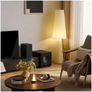 Elipson Premium Sub 10, in ambiente