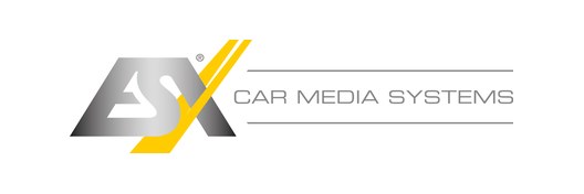 ESX logo