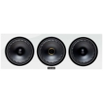 Fyne Audio F57SP-6 – Diffusore Canale Centrale 2,5 Vie con Radiatori Passivi 360 W