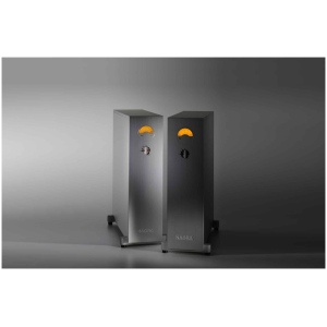 Nagra HD AMP – Finale Mono 250 W - immagine 2