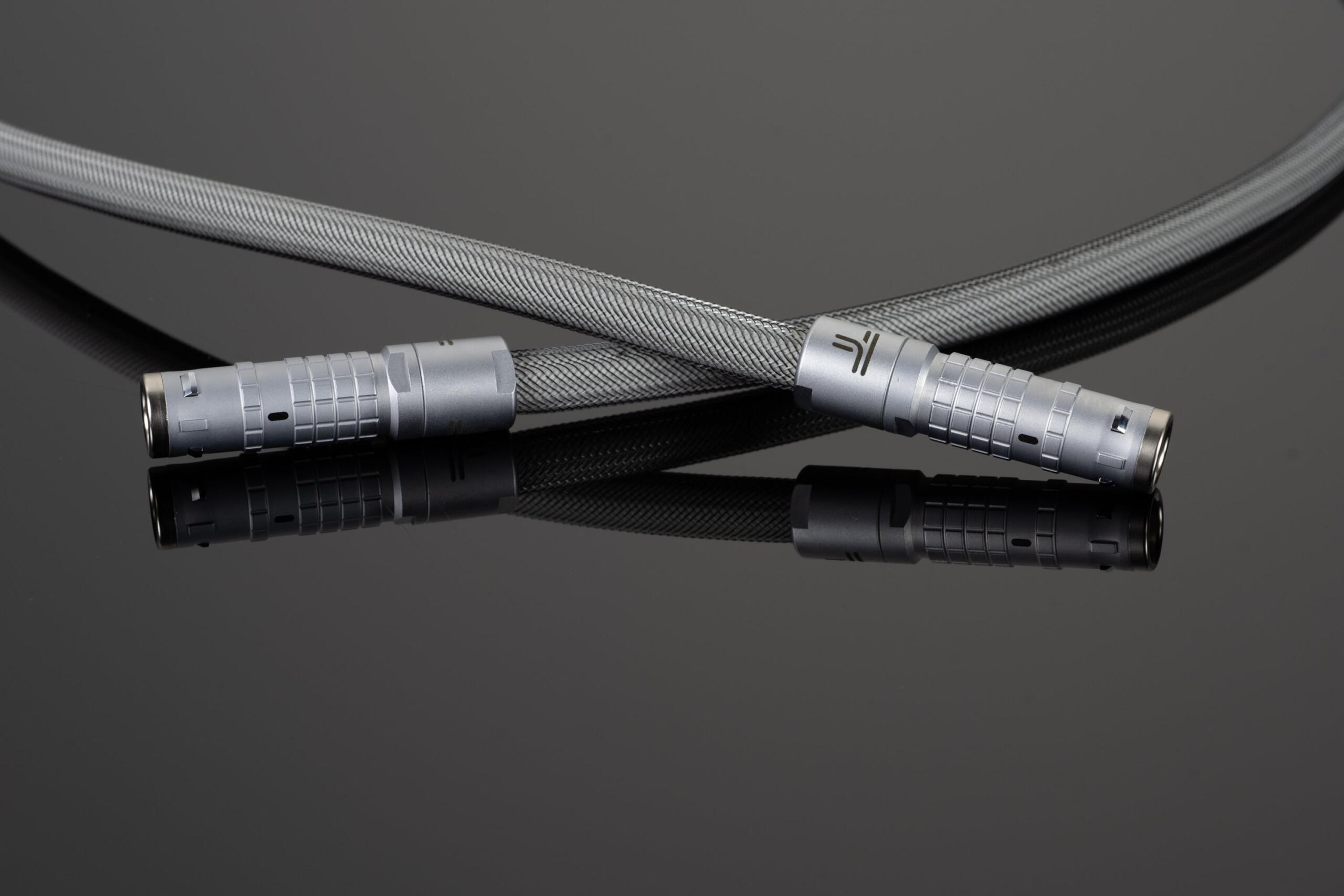 Transparent Actus Cable per dCS Varèse – Cavo ACTUS per Sistema dCS Varèse – immagine 3 Transparent Actus Cable per dCS Varèse – Cavo ACTUS per Sistema dCS Varèse - immagine 3