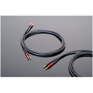 Transparent hardwired Cavi Diffusori – Cavo per Diffusori Banana-Banana - immagine 2