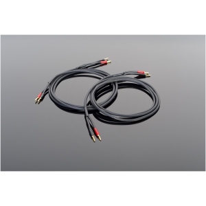 Transparent hardwired Cavi Diffusori – Cavo per Diffusori Banana-Banana