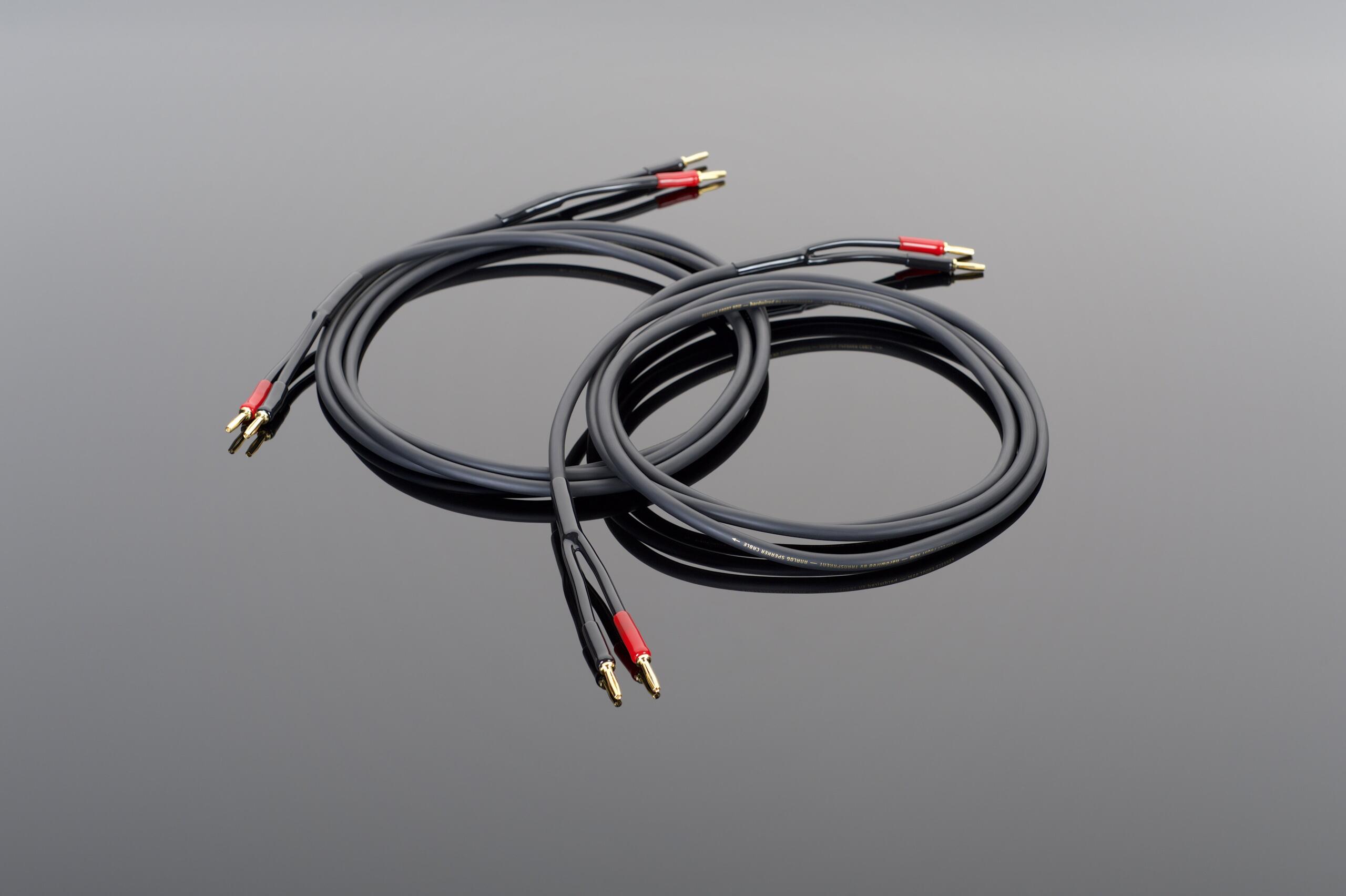 Transparent hardwired Cavi Diffusori β Cavo per Diffusori Banana-Banana Transparent hardwired Cavi Diffusori β Cavo per Diffusori Banana-Banana
