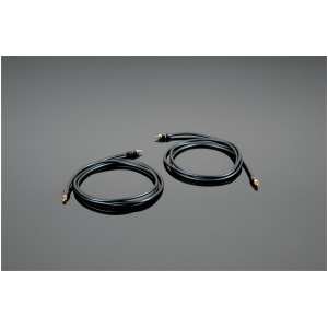 Transparent hardwired RCA – Cavo di Interconnessione RCA
