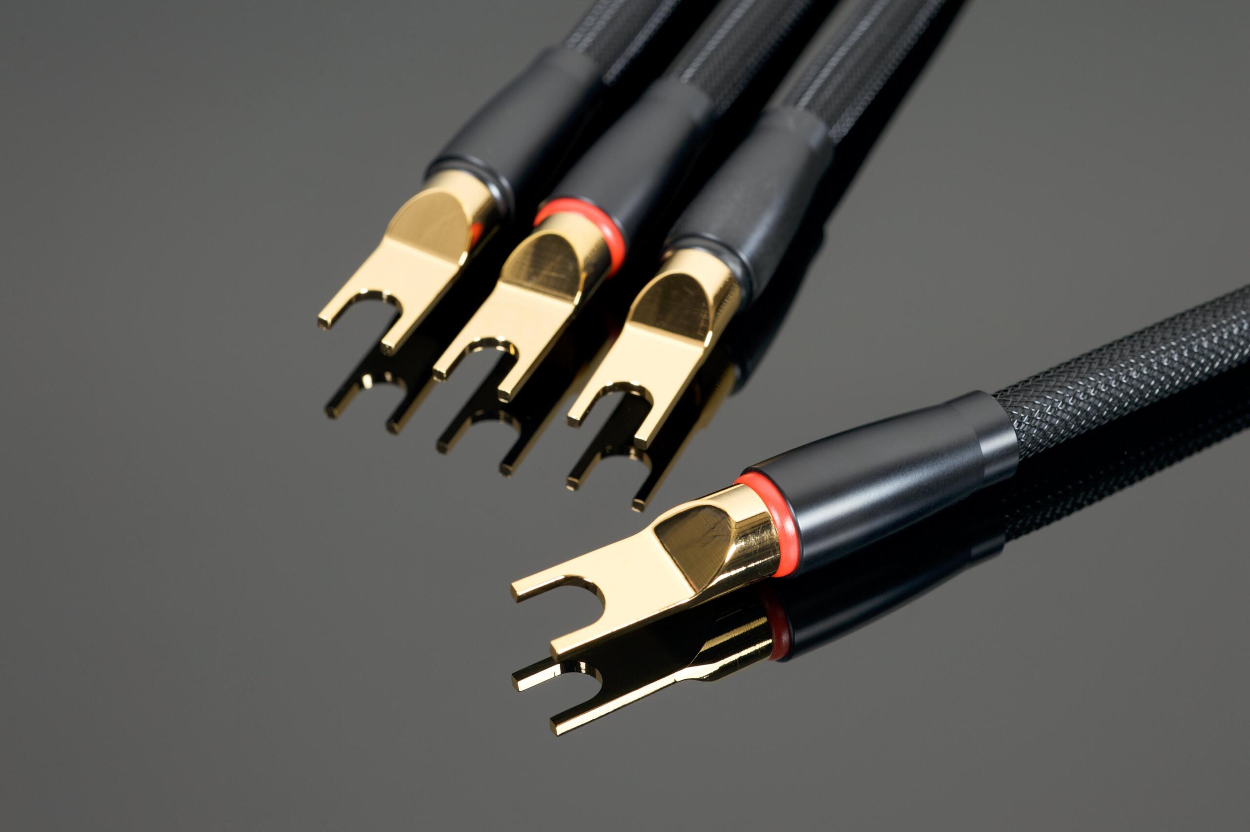 Transparent Ponticelli Biwiring SBARXL β Ponticelli per Diffusori Bi-Wiring – immagine 2 Transparent Ponticelli Biwiring SBARXL β Ponticelli per Diffusori Bi-Wiring - immagine 2