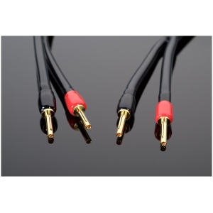 Transparent The Wave Speaker Cable – Cavo per Diffusori - immagine 2