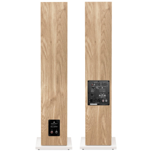Triangle LN05A – Coppia Diffusori Attivi da Pavimento Bluetooth 2 × 80 W - immagine 4