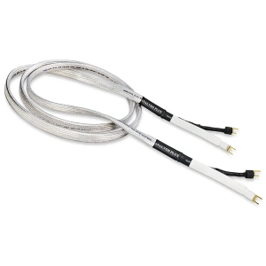 Analysis Plus Big Silver Oval cavo per diffusori