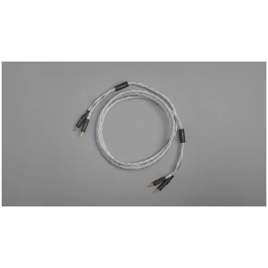 Axxess Speaker Cable cavo per diffusori – vista completa del cavo