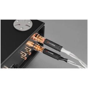 Axxess Speaker Cable cavo per diffusori – collegato a un Axxess Forté