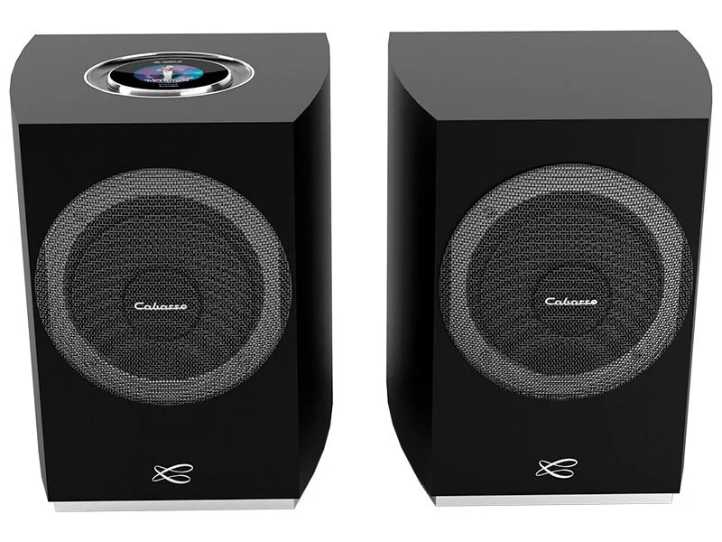 Cabasse Rialto – Coppia Diffusori Attivi Connessi con HDMI eARC – nero opaco Cabasse Rialto – Coppia Diffusori Attivi Connessi con HDMI eARC – nero opaco