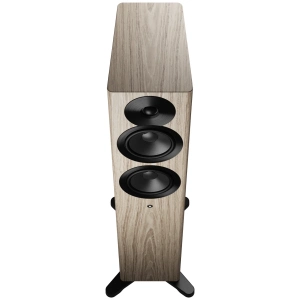 Dynaudio Focus 30 – vista 3