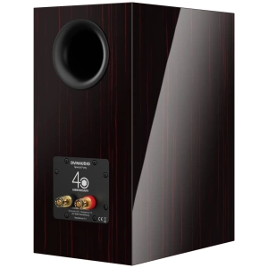 Dynaudio Special Forty – vista 4