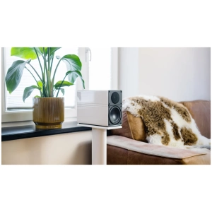 ELAC Elegant BS 305 diffusore da scaffale – vista principale del diffusore