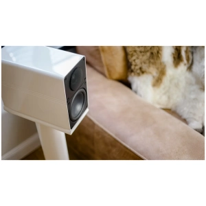 ELAC Elegant BS 305 diffusore da scaffale – immagine di apertura della pagina prodotto