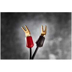 Gryphon Vanta Speaker Cable cavo per diffusori