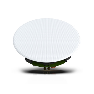 GoldenEar Invisa HTR 8000