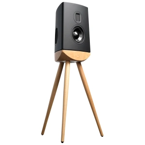 Lyngdorf Cue-100 – nero con base in rovere, vista frontale