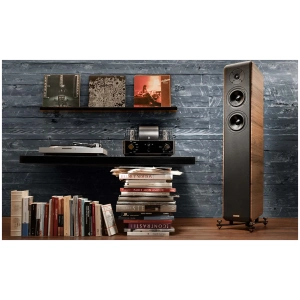 Opera Grand Mezza V2 diffusore da pavimento, in ambiente, finitura Rosewood