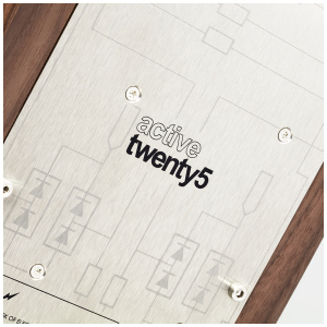 PMC Active twenty5.24i – Coppia di diffusori attivi da pavimento – immagine 4