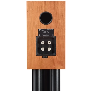 ProAc Response DB1R diffusori da scaffale con tweeter a nastro – foto 2