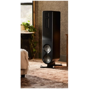 PS Audio Aspen FR10 – Satin Black