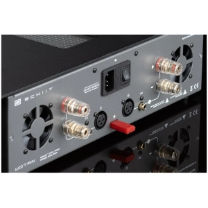 Schiit Wotan amplificatore finale stereo dual mono, frontale