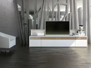 Schnepel S1 MK-2, mobile TV con 2 ante e ribalta – immagine 2