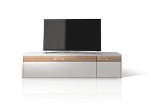 Schnepel S1 MK-1, mobile TV con anta e ribalta – immagine 3