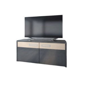 Schnepel S1 SK-2, mobile TV con 2 ante