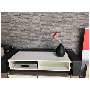 Schnepel X-Lowboard 1400 aperto, mobile TV basso – immagine 3